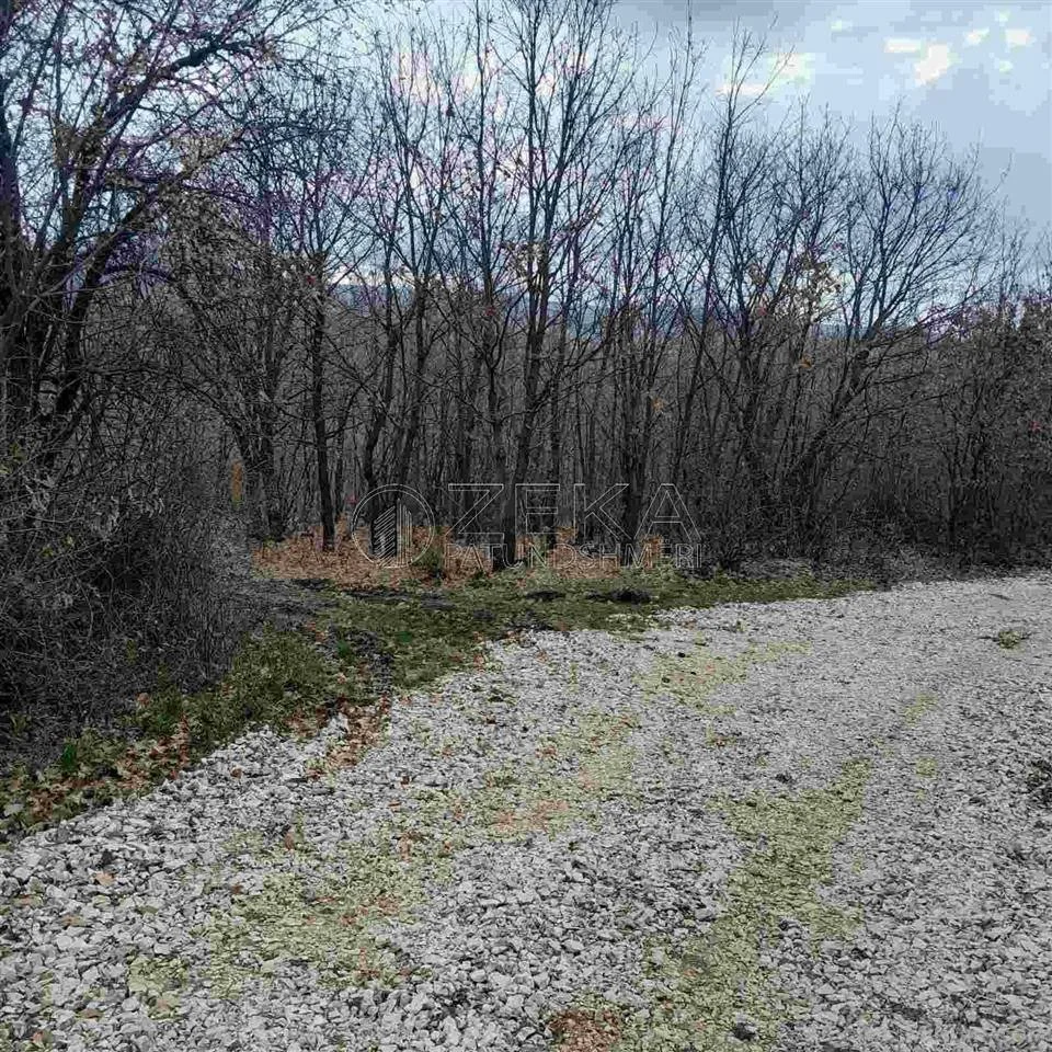 Residential Plot • 36ar