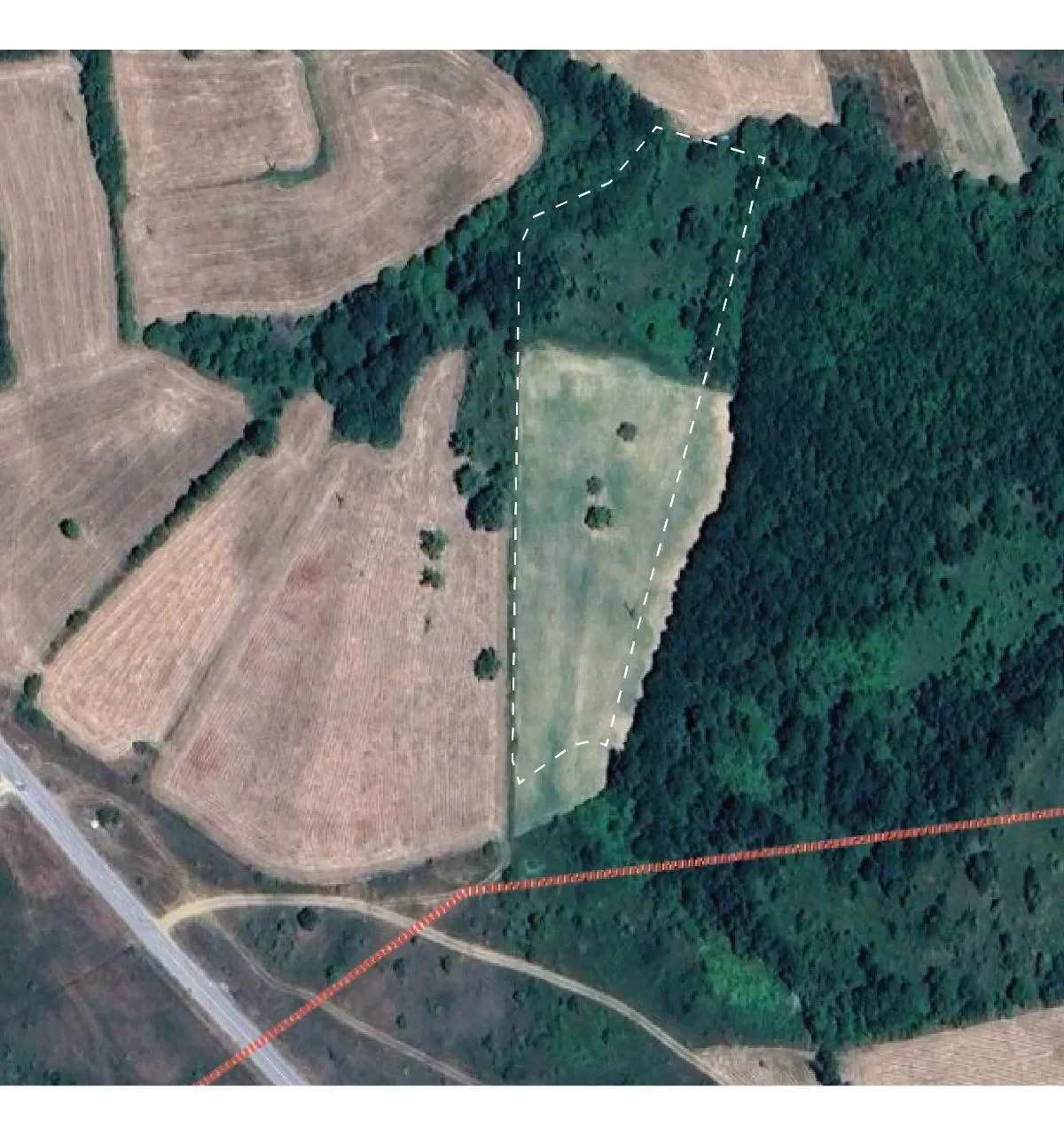Residential Plot • 74ar 2