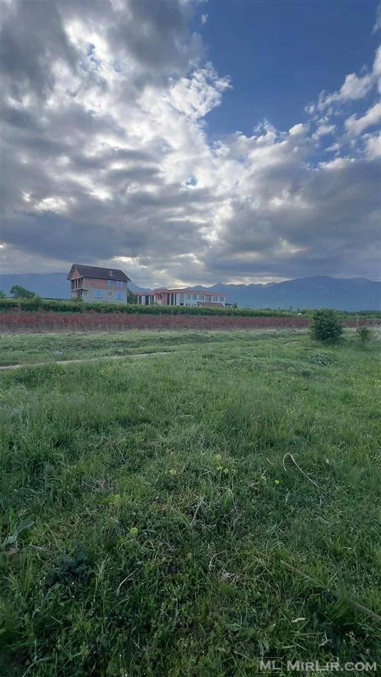 Residential Plot • 40ar