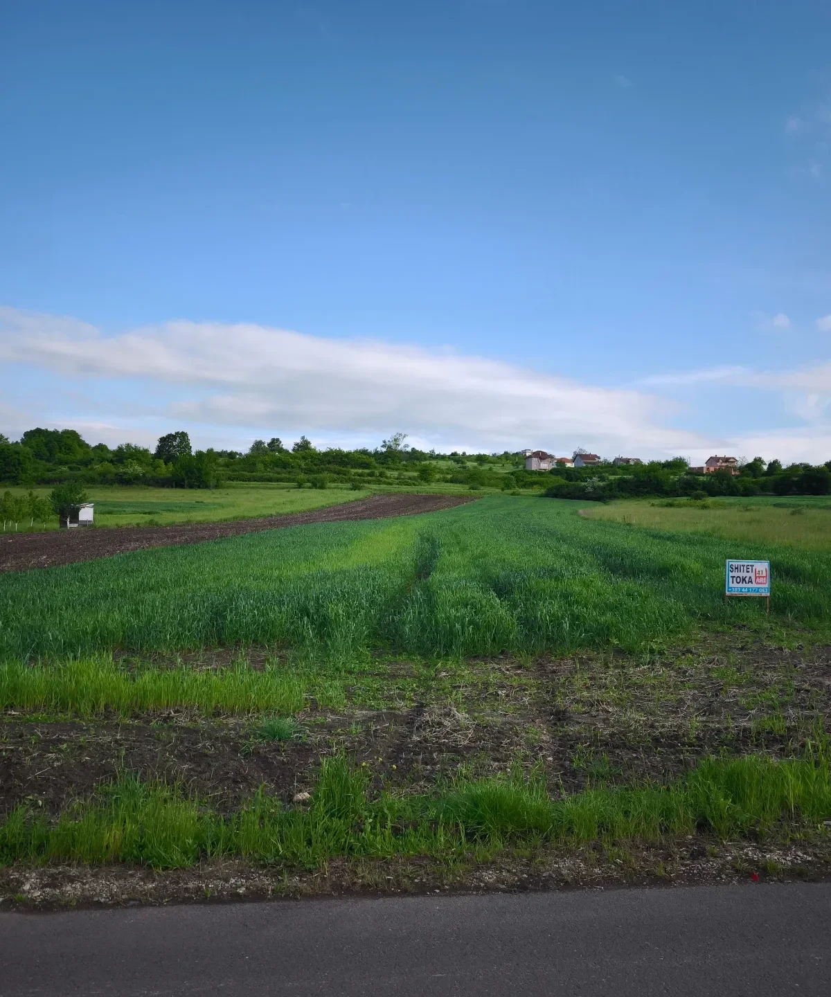 Agricultural Land • 41ar