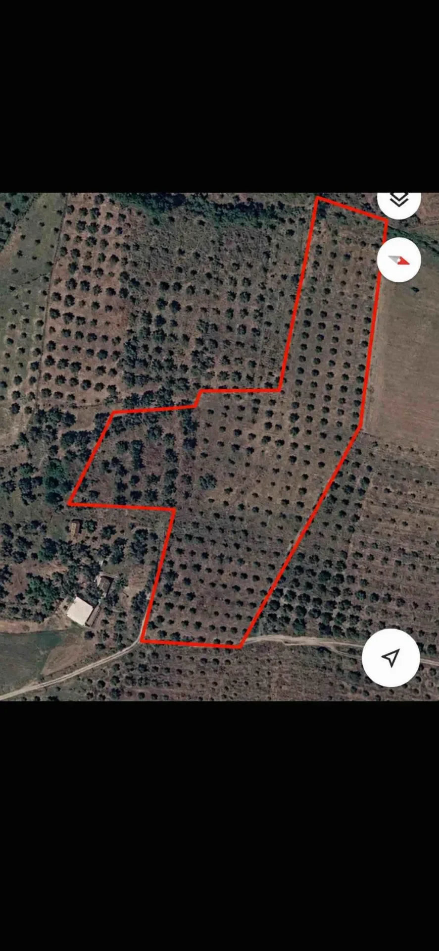 Agricultural Land • 120ar