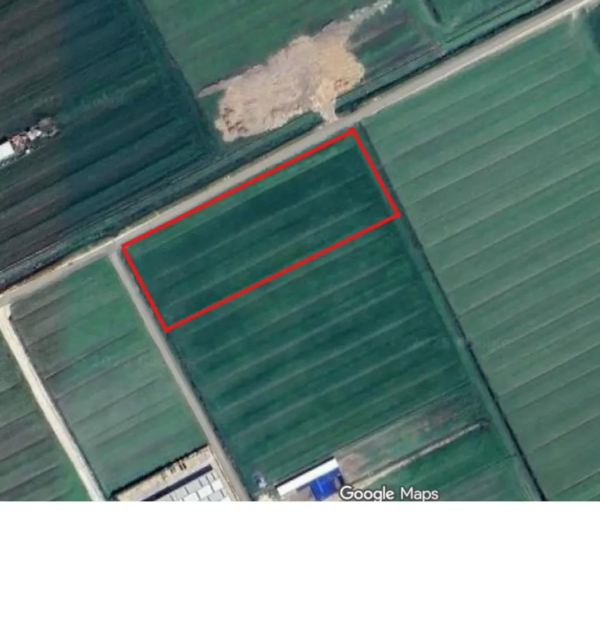 Agricultural Land • 13203m²