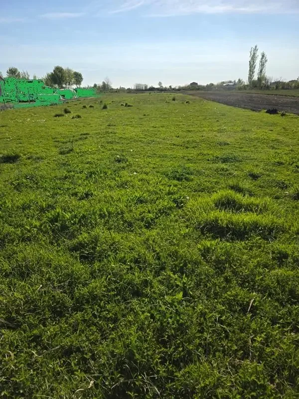 Residential Plot • 52ar