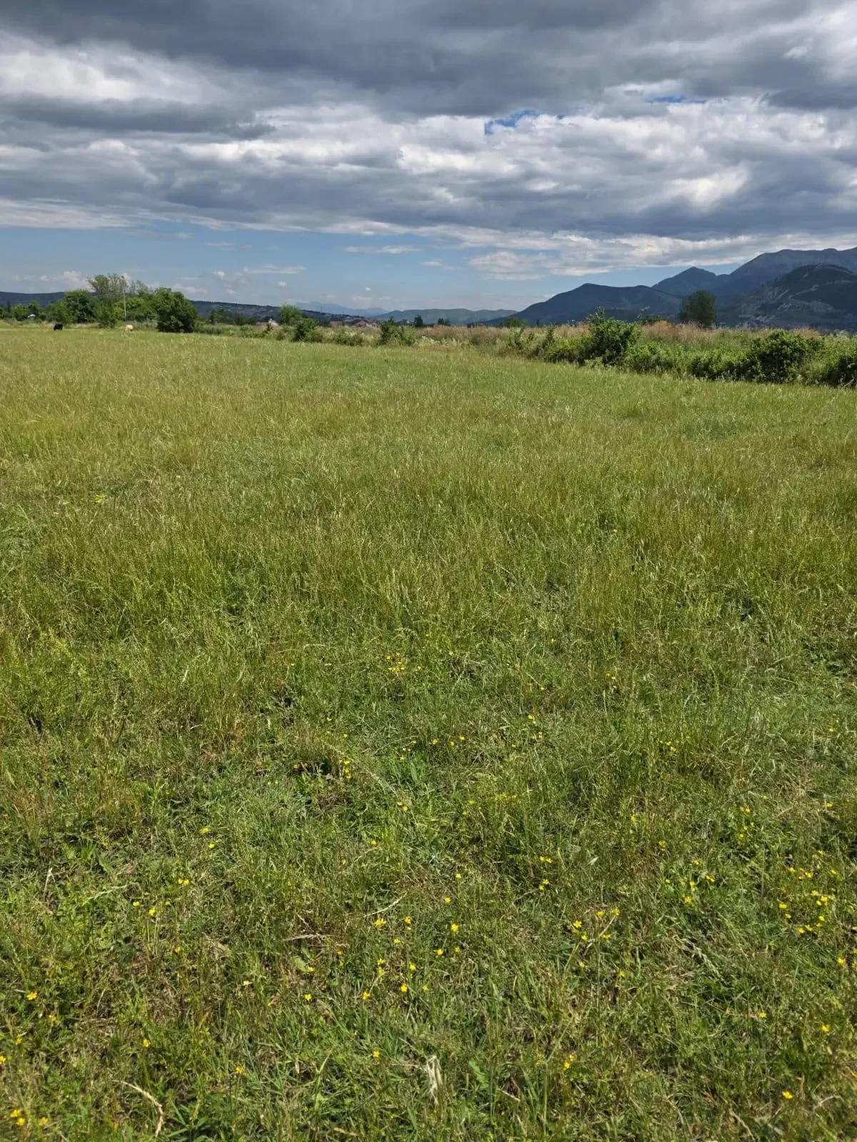 Residential Plot • 60ar