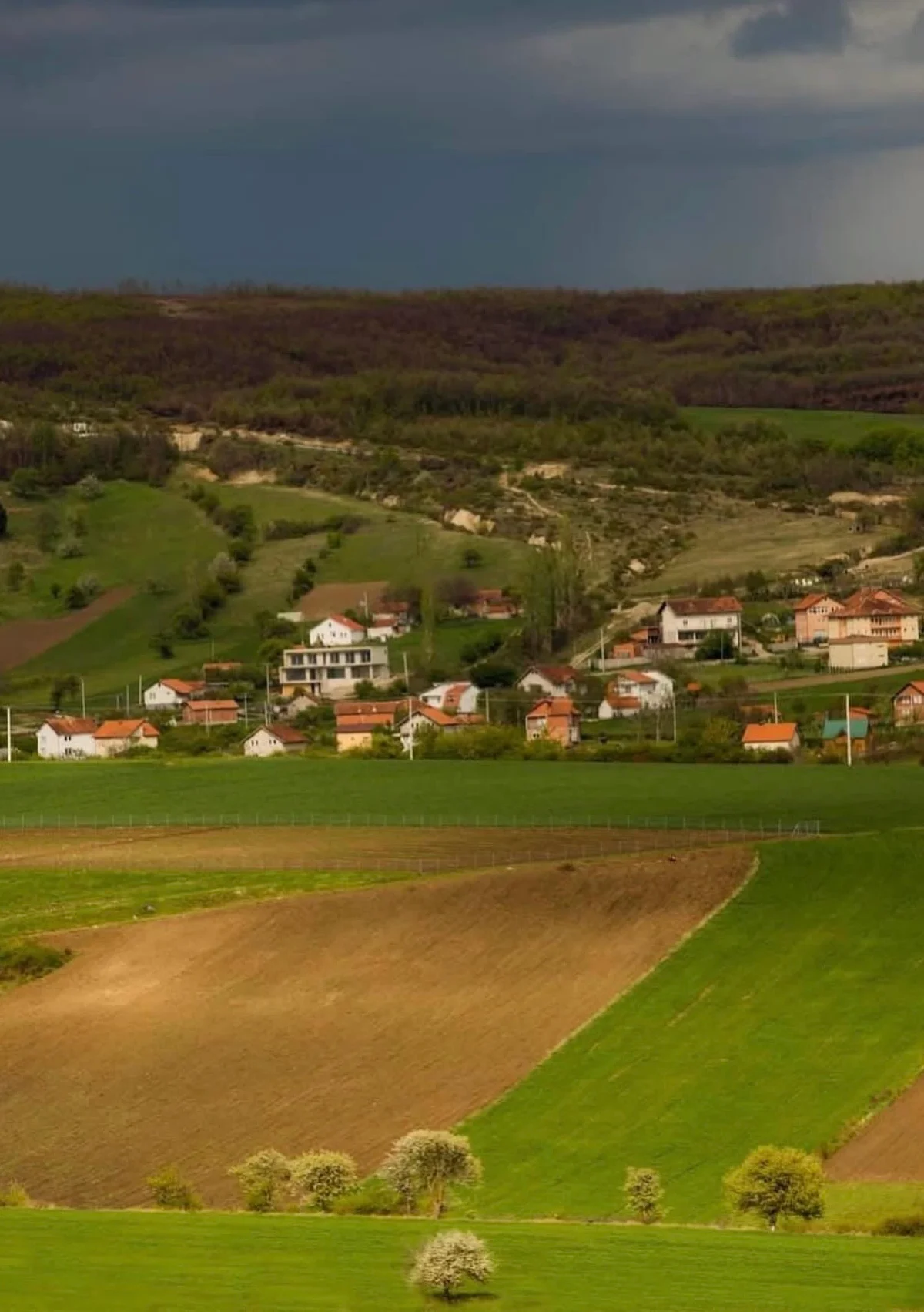 Agricultural Land • 3.67ha