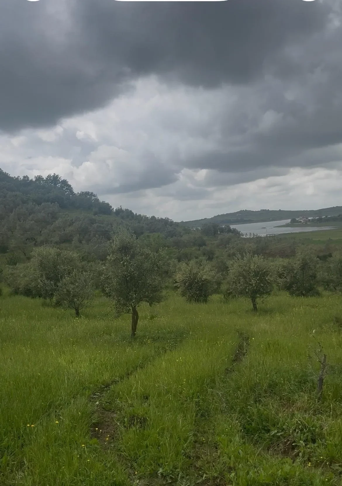 Agricultural Land • 120ar 2