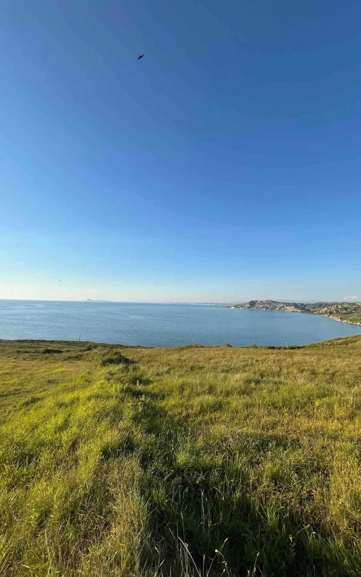 Commercial Land • 60ar