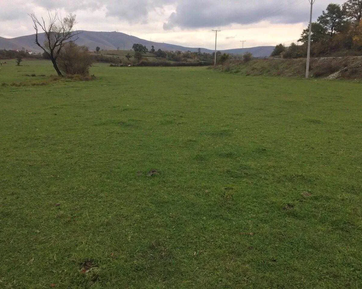Land • 60ar