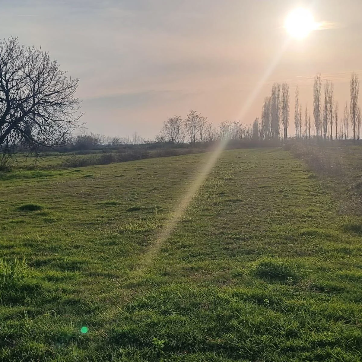 Agricultural Land • 6700m²