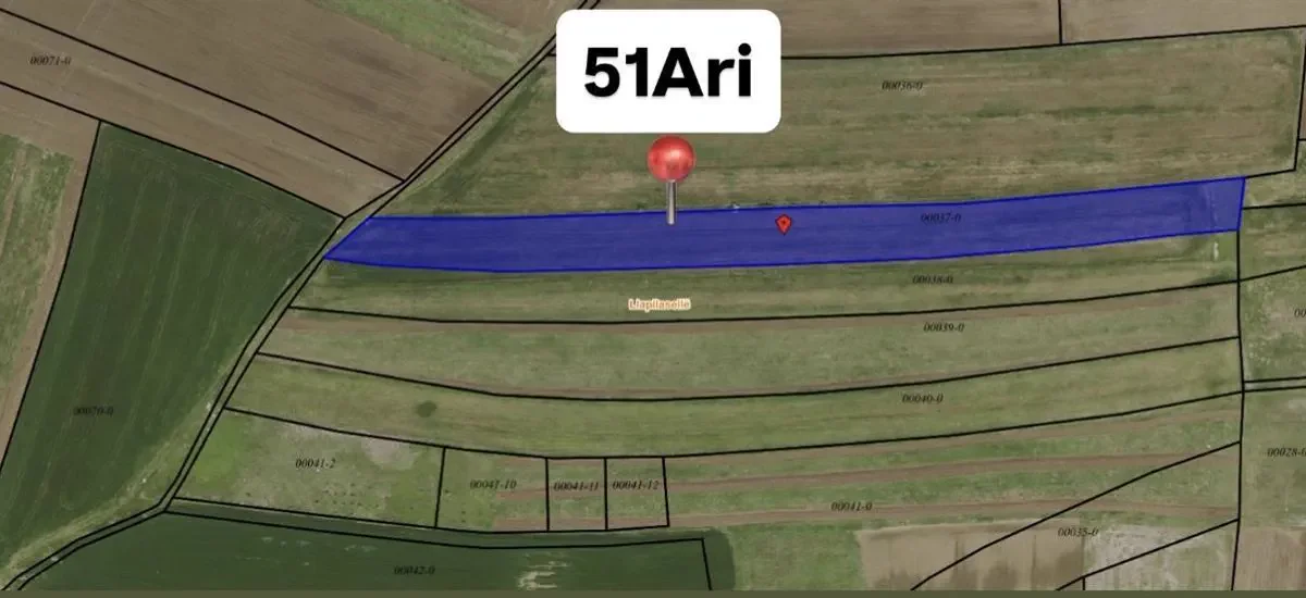 Land • 51ar