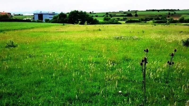 Agricultural Land • 100ar 4
