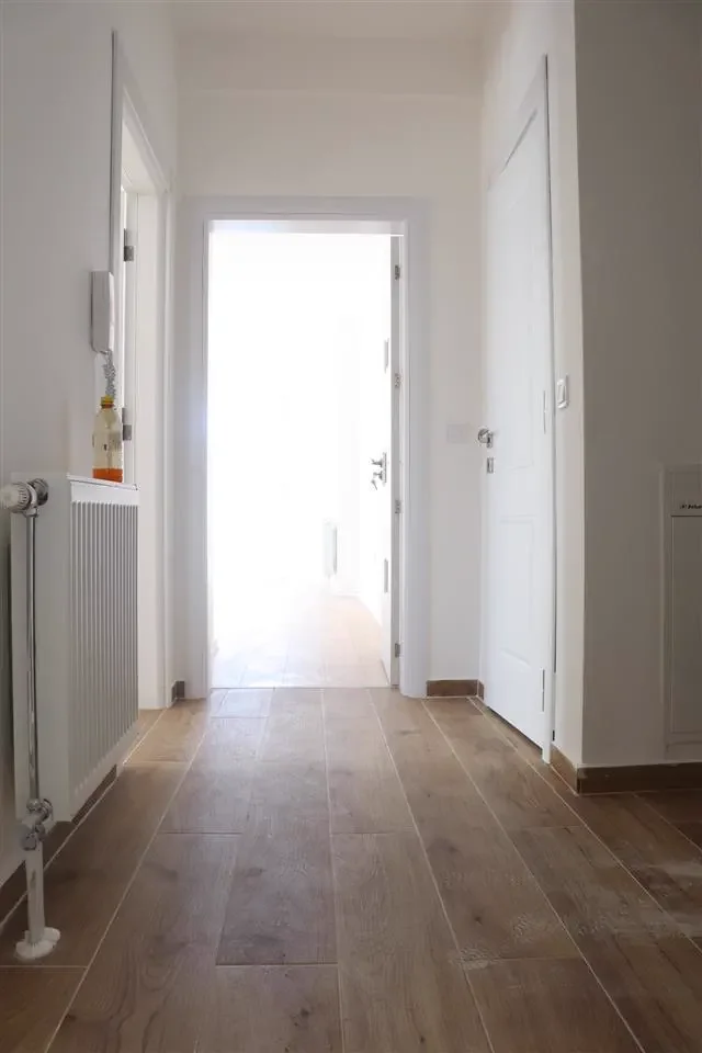 Apartment • 61.5m2 5