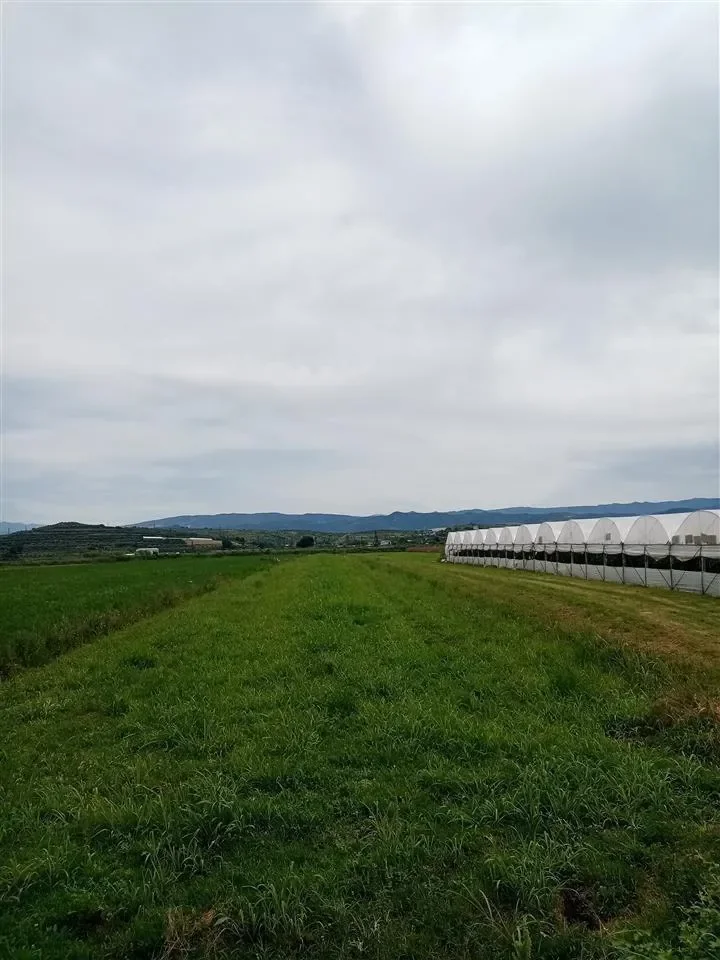 Agricultural Land • 3700m²