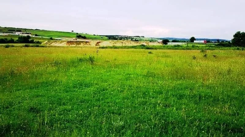 Agricultural Land • 100ar 3