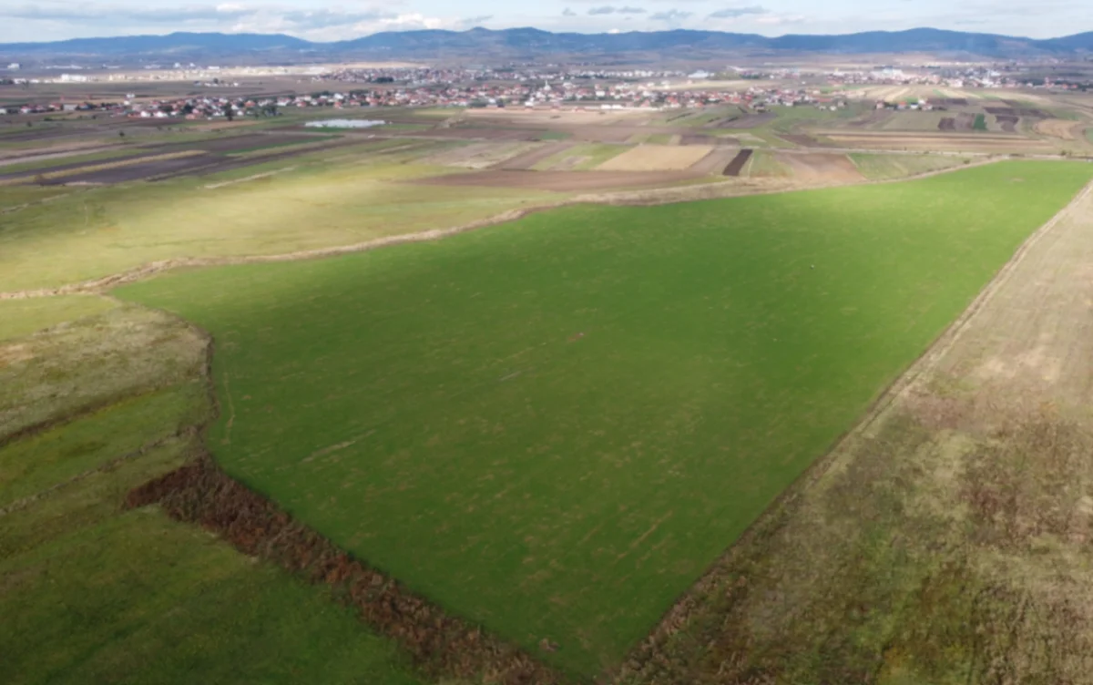 Agricultural Land • 16.81ha