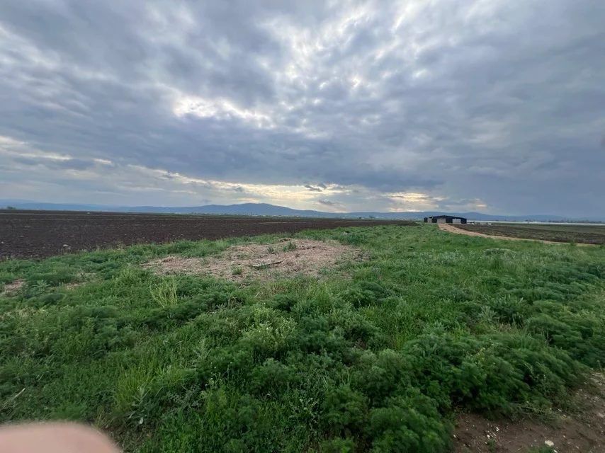 Agricultural Land • 72ar 2